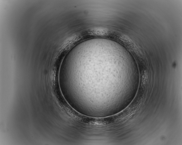 X0000098170739200805011013