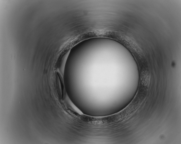 X0000098170740200805011013