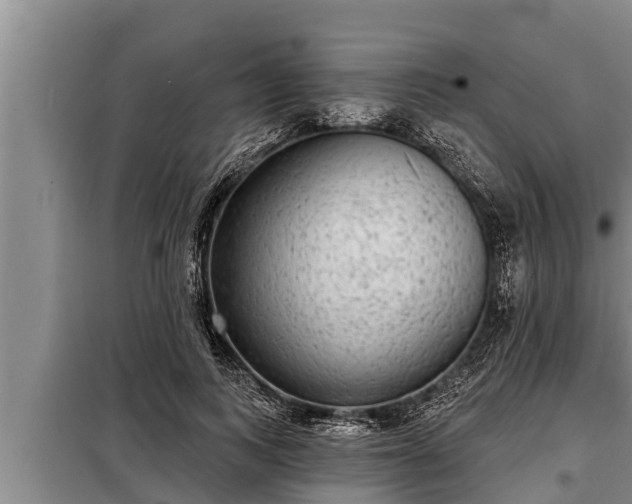 X0000098170743200805011013