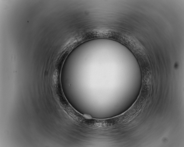 X0000098170744200805011013