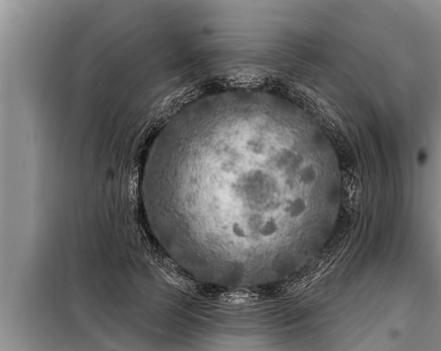 X0000098170745200805011013