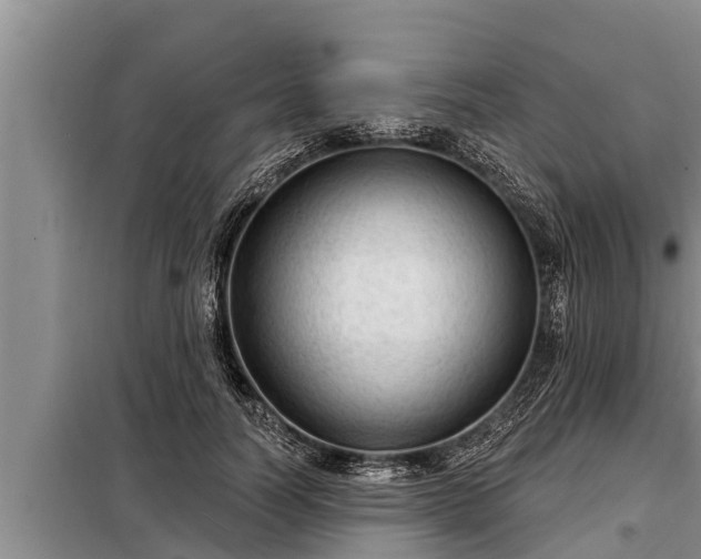 X0000098170746200805011013