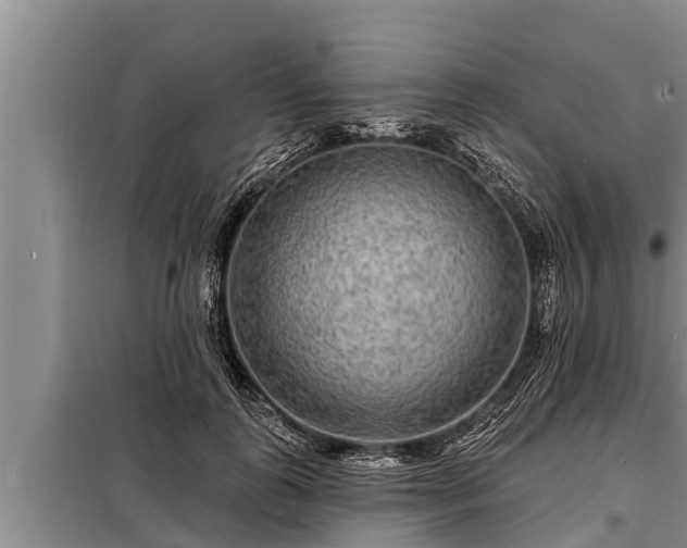 X0000098170747200805011013