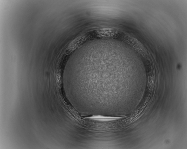 X0000098170749200805011013