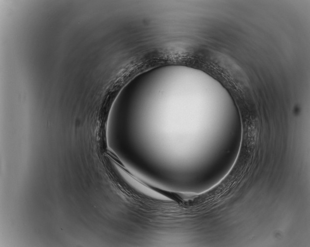 X0000098170750200805011013