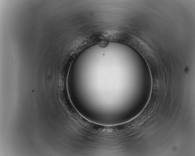 X0000098170751200805011013