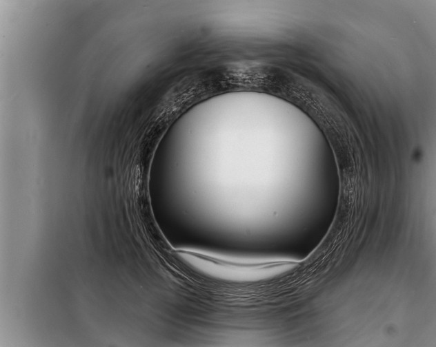 X0000098170752200805011014