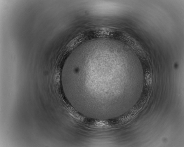 X0000098170753200805011014