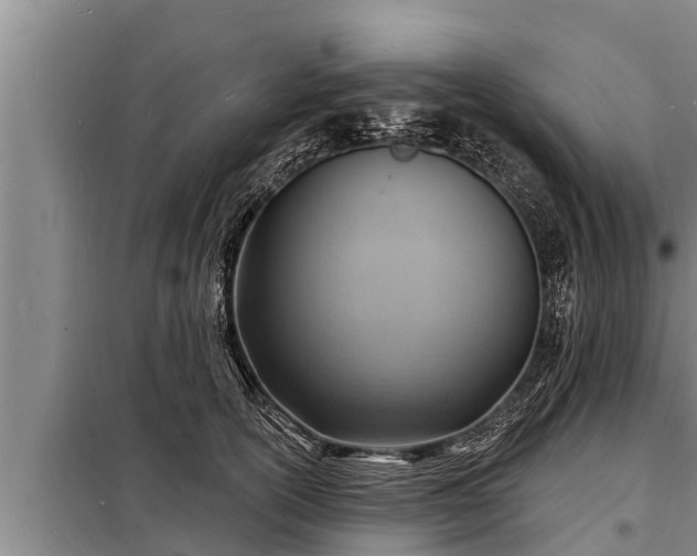 X0000098170754200805011014