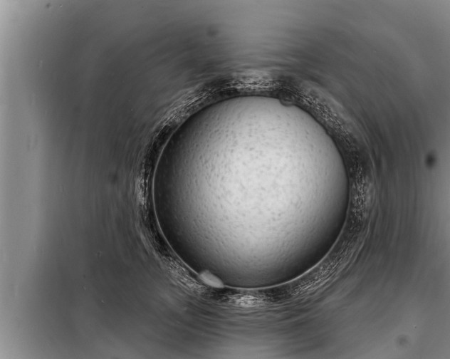 X0000098170755200805011014