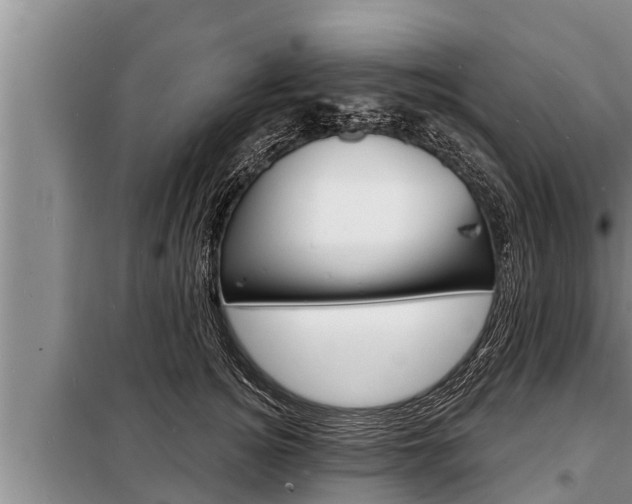 X0000098170756200805011014