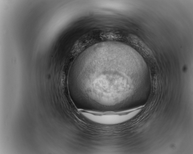 X0000098170760200805011014