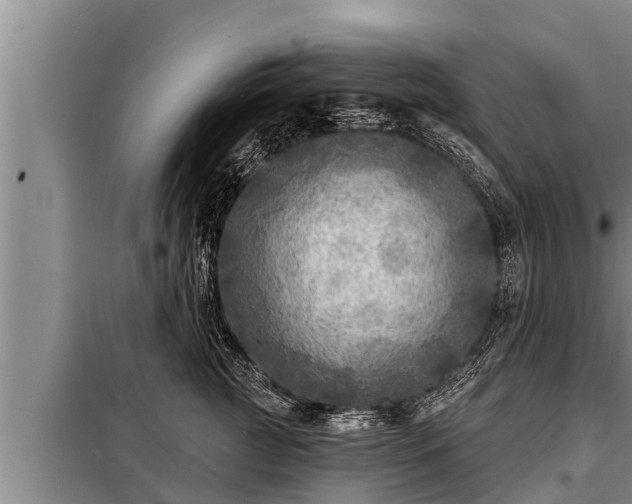 X0000098170761200805011014