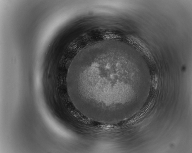 X0000098170763200805011014