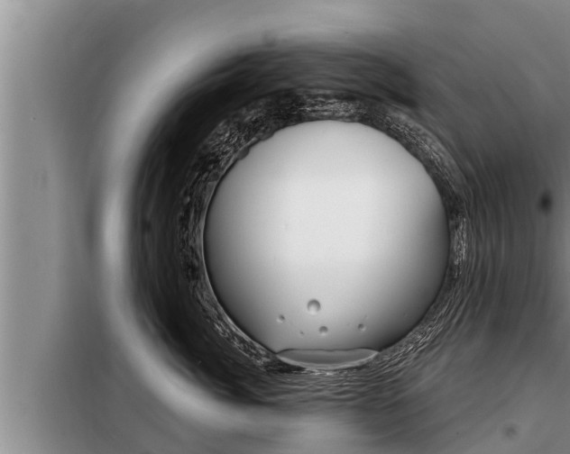 X0000098170764200805011014