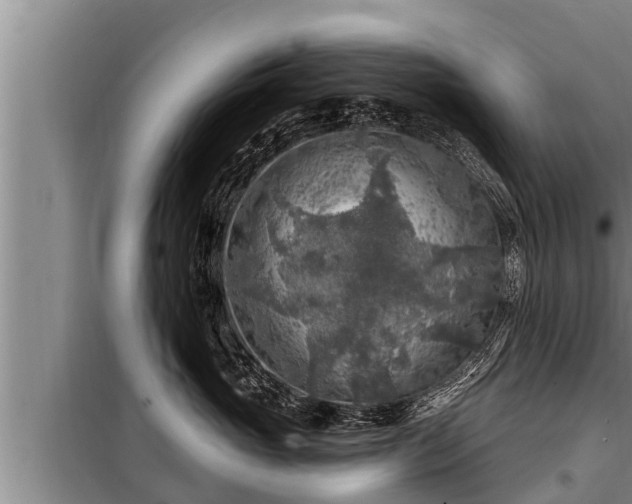 X0000098170765200805011014