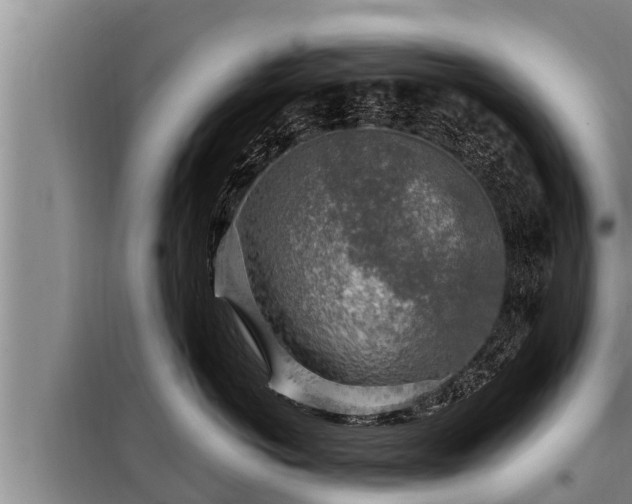 X0000098170766200805011014