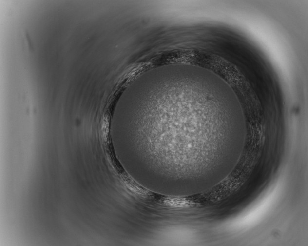 X0000098170767200805011014