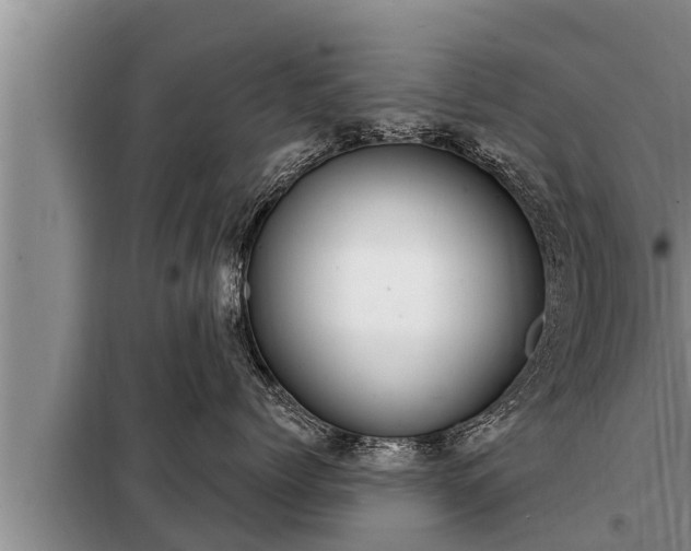 X0000098170768200805011014