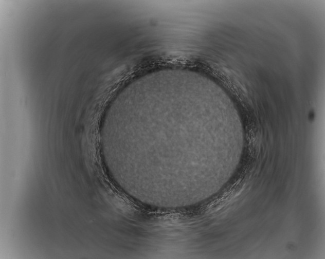 X0000098170769200805011013