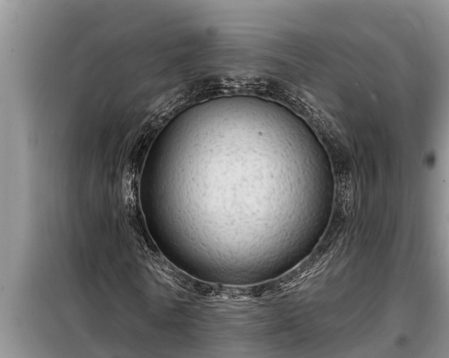 X0000098170770200805011013