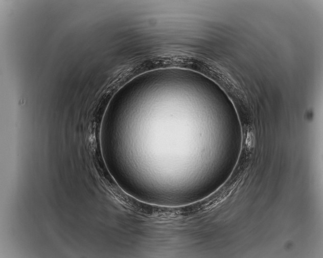 X0000098170771200805011013