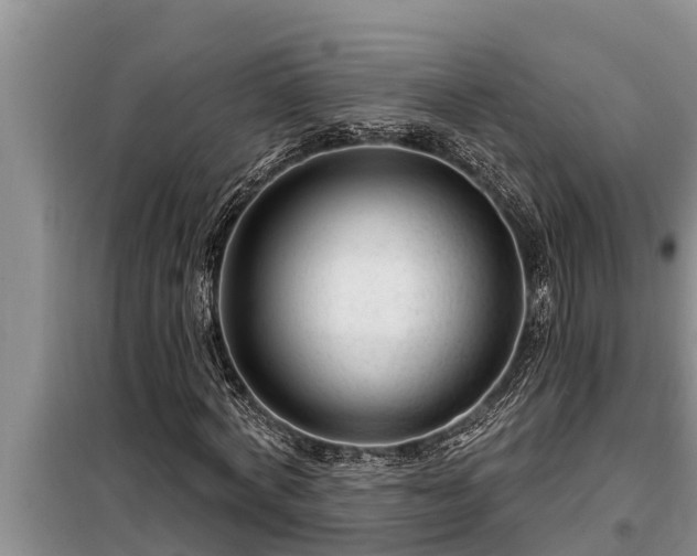 X0000098170772200805011013