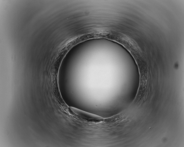 X0000098170773200805011013