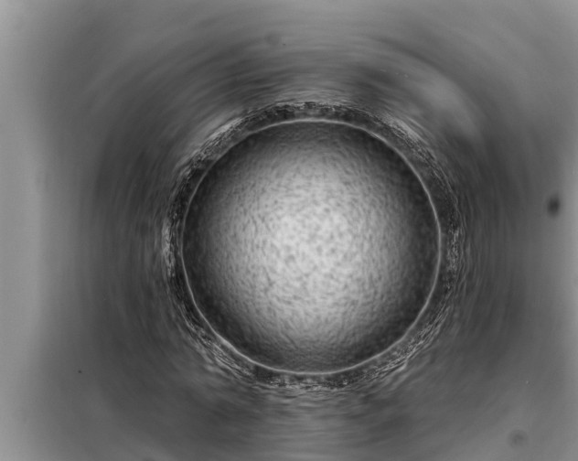 X0000098170774200805011013