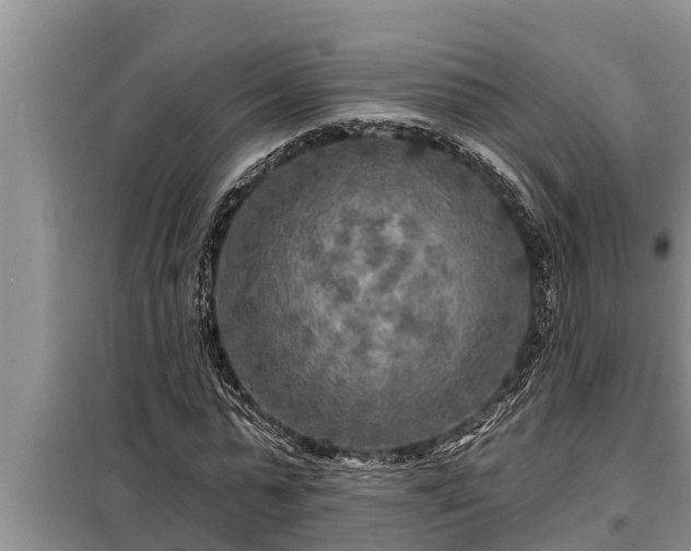 X0000098170775200805011013