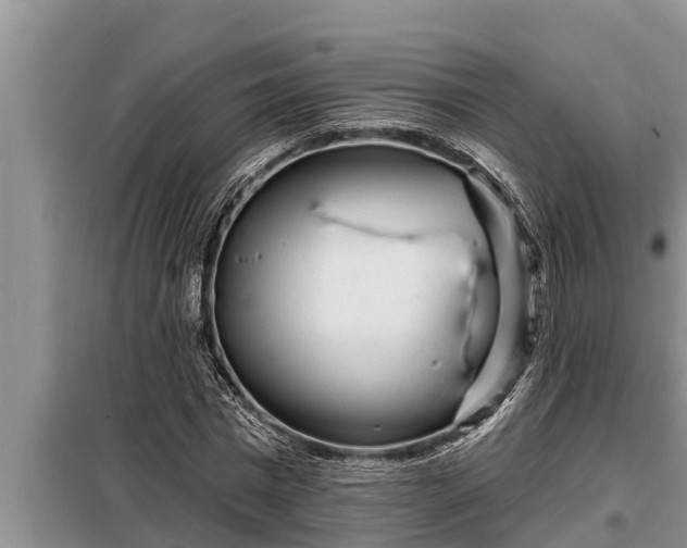 X0000098170777200805011013