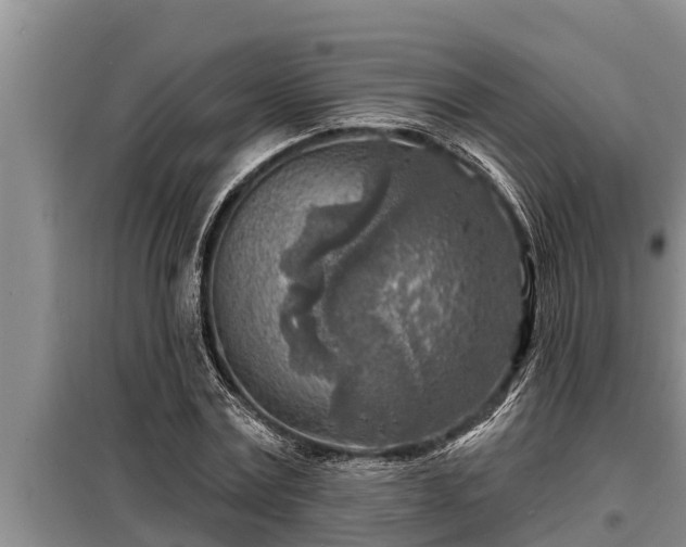 X0000098170779200805011013