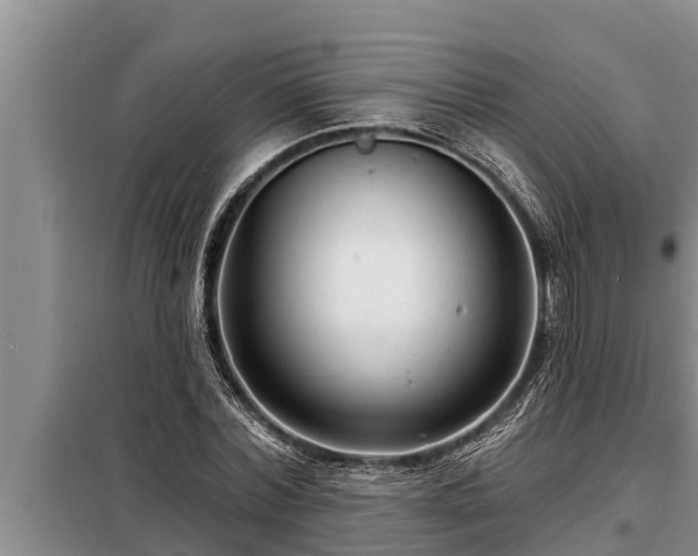 X0000098170780200805011013