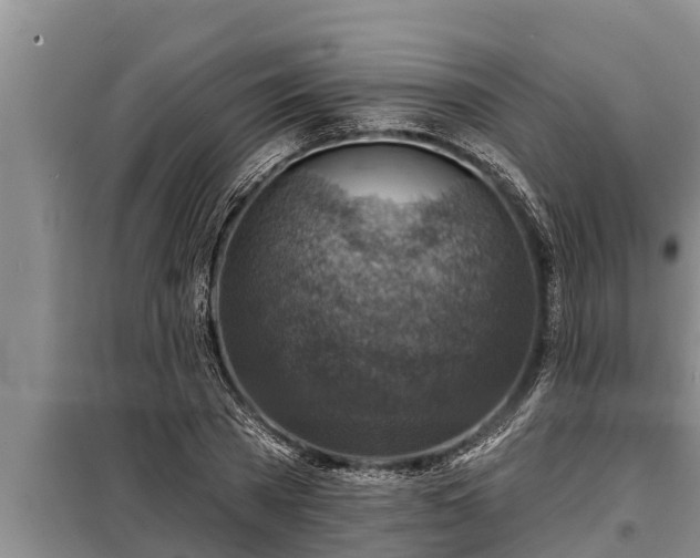 X0000098170785200805011013