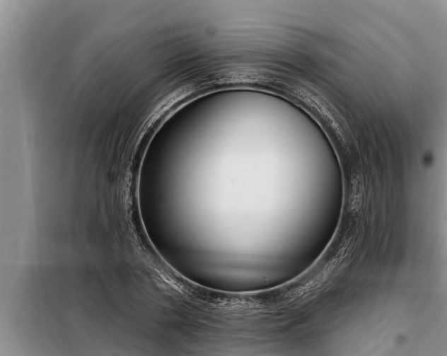 X0000098170786200805011013