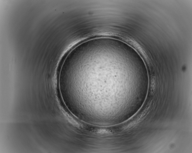 X0000098170787200805011013