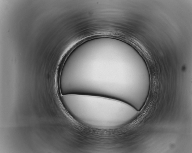 X0000098170788200805011013