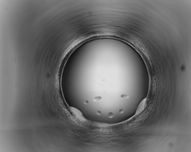 X0000098170789200805011013