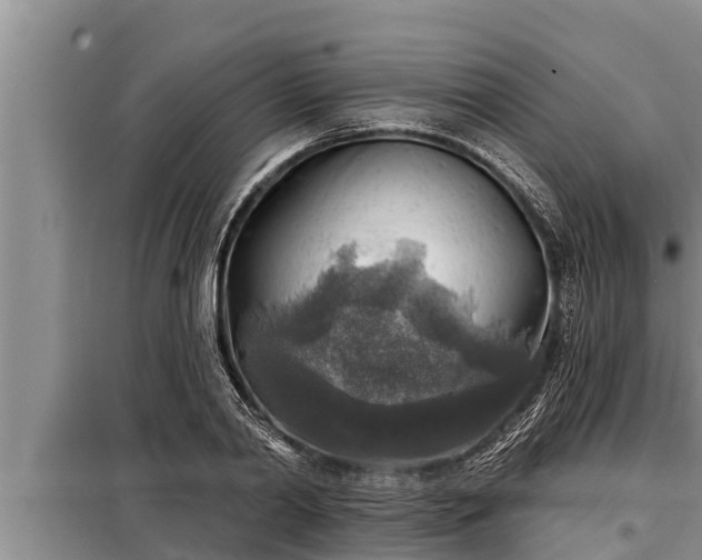 X0000098170790200805011013