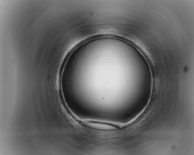 X0000098170791200805011013