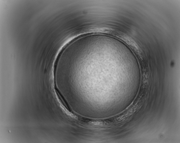 X0000098170792200805011013