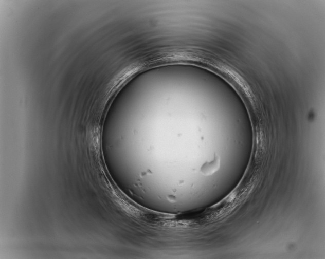 X0000098170793200805011013