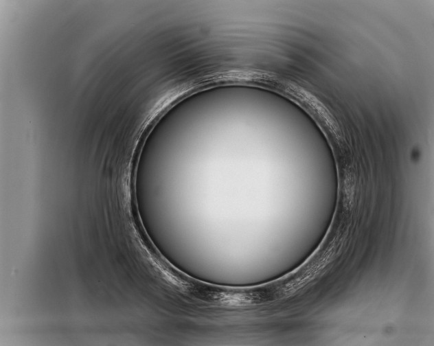 X0000098170794200805011013