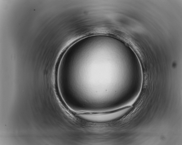 X0000098170795200805011013