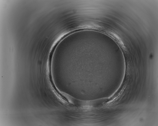 X0000098170796200805011013