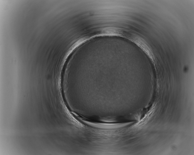 X0000098170797200805011013