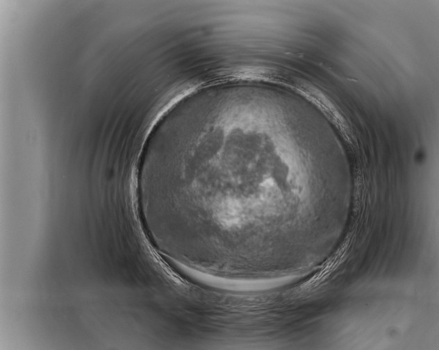 X0000098170798200805011013