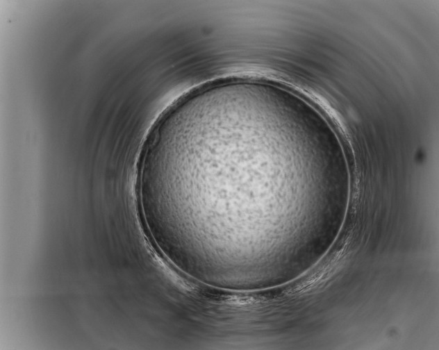 X0000098170799200805011013