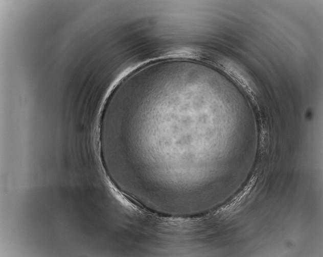 X0000098170800200805011013