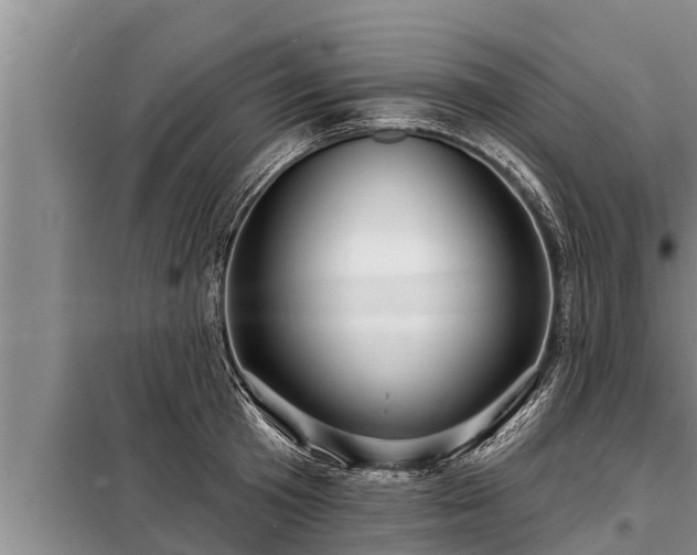 X0000098170801200805011013